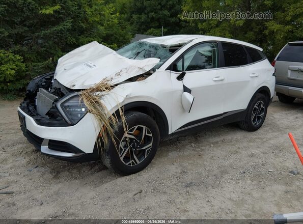 KNDPUCDF9R7293923 2024 KIA SPORTAGE White Przód lewy