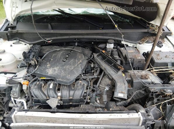 KNDPUCDF9R7293923 2024 KIA SPORTAGE White Widok z tyłu