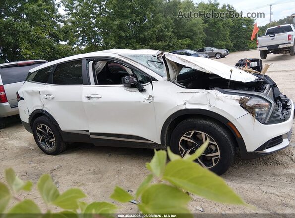 KNDPUCDF9R7293923 2024 KIA SPORTAGE White Widok wnętrza z tyłu