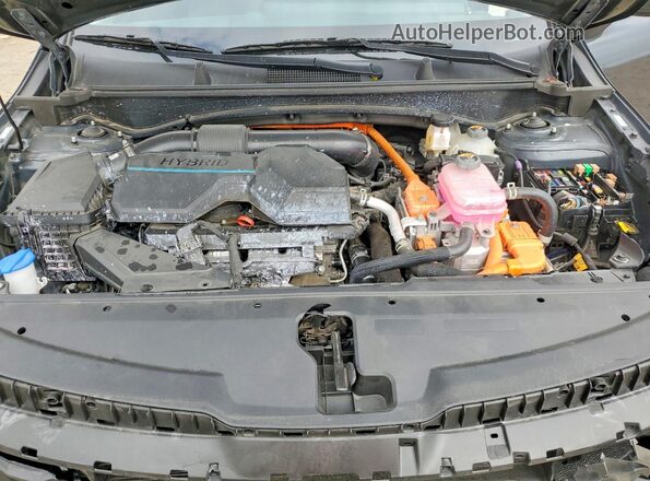 KNDPUCDG6R7144555 2024 KIA SPORTAGE Gray 