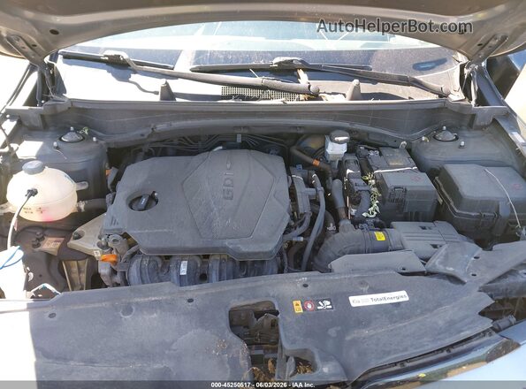 KNDPV3DF3R7268061 2024 KIA SPORTAGE Серый Вид сзади