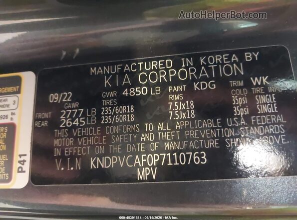 KNDPVCAF0P7110763 2023 KIA SPORTAGE Gray Vista del compartimento del motor