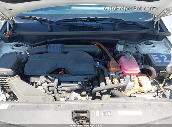 KNDPVCAG0P7018612 2023 KIA SPORTAGE HYBRID Белый Вид сзади