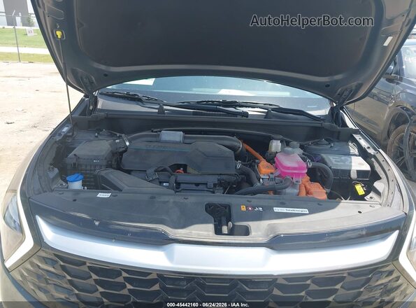 KNDPVCAG5P7077705 2023 KIA SPORTAGE HYBRID Серый Вид сзади