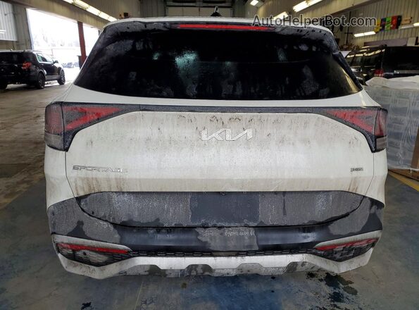 KNDPVCAGXP7111458 2023 KIA SPORTAGE Белый Вид сзади