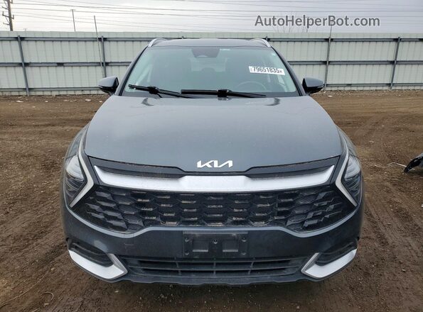 KNDPVCDF4R7248837 2024 KIA SPORTAGE Серый 