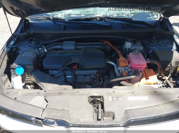 KNDPVCDG1R7130351 2024 KIA SPORTAGE HYBRID Синий Вид сзади