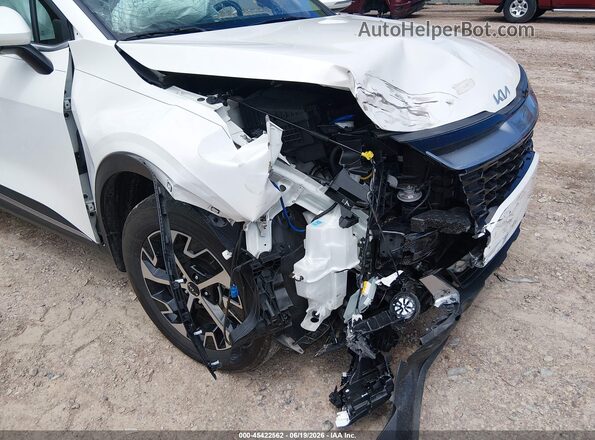 KNDPVCDG2R7174455 2024 KIA SPORTAGE HYBRID Белый 