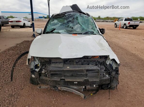 KNDPVCDG4R7123040 2024 KIA SPORTAGE Белый 
