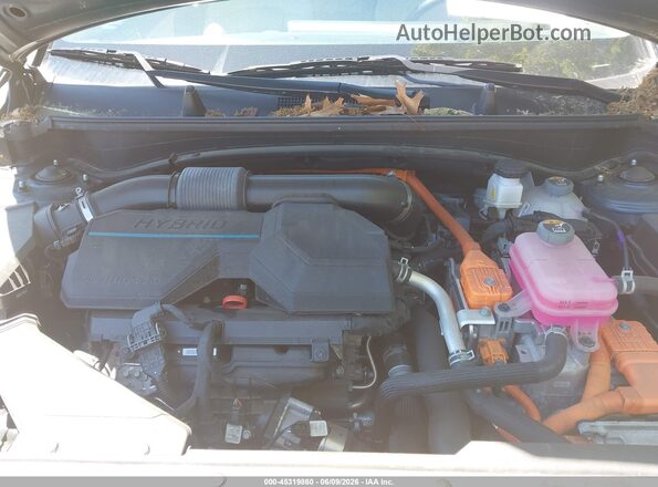 KNDPVCDGXS7195432 2025 KIA SPORTAGE HYBRID Dark Blue Вид сзади