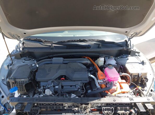 KNDPVDDG1T7274432 2026 KIA SPORTAGE HYBRID Gray Widok z tyłu