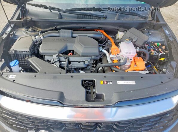 KNDPXCDG8S7252835 2025 KIA SPORTAGE Gray 
