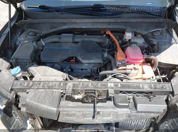 KNDRGDLG6N5106532 2022 KIA SORENTO HYBRID Черный Вид сзади