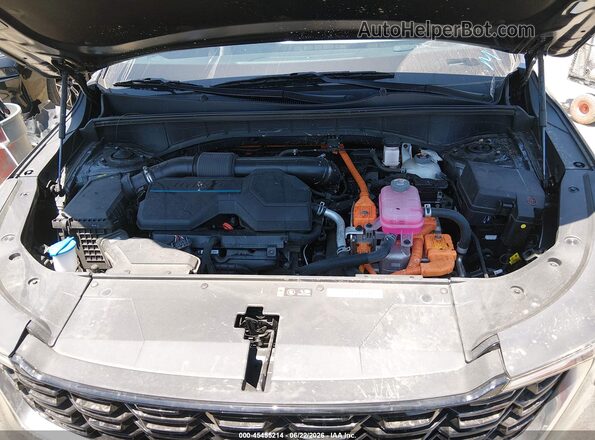 KNDRH4JGXS5397404 2025 KIA SORENTO HYBRID Gray უკანა ხედი
