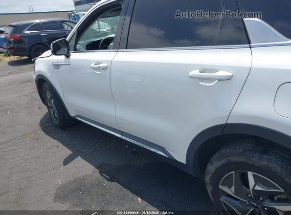 KNDRH4LG1P5175614 2023 KIA SORENTO HYBRID Белый 