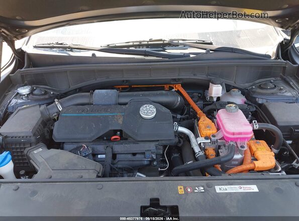 KNDRHDLG1R5259290 2024 KIA SORENTO HYBRID Gray უკანა ხედი