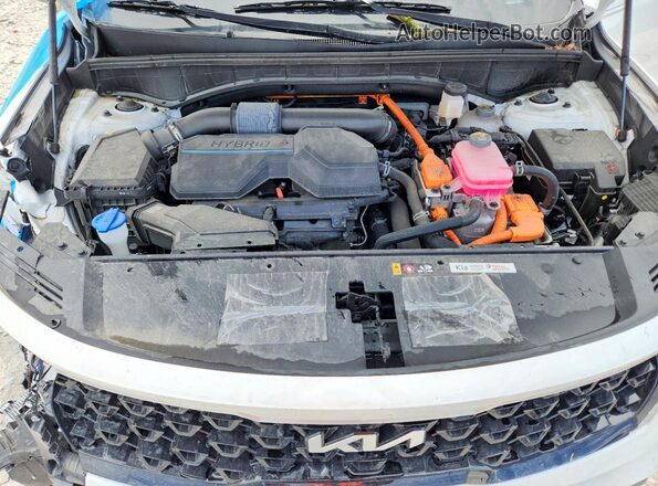 KNDRHDLG4P5214258 2023 KIA SORENTO White 