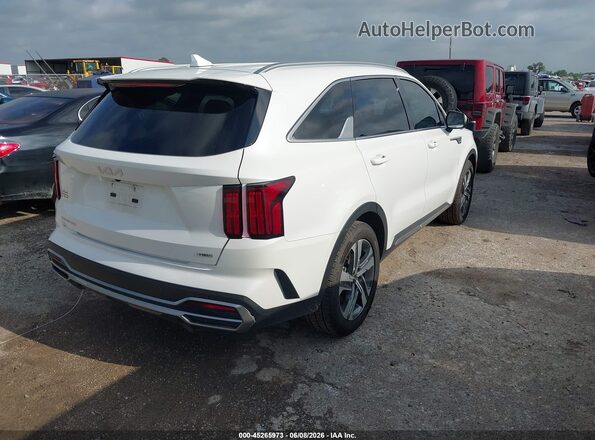 KNDRKDLG3P5226046 2023 KIA SORENTO HYBRID White უკანა მარჯვენა