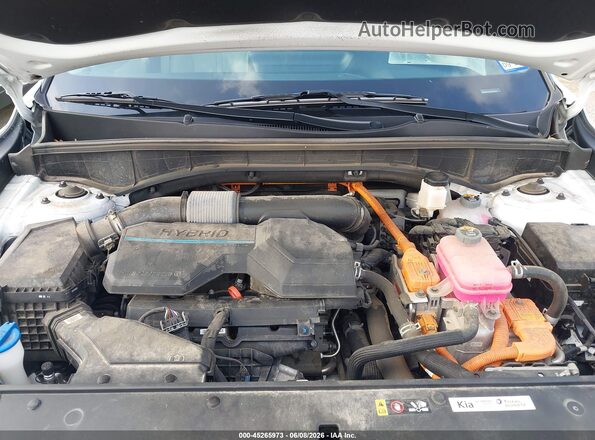 KNDRKDLG3P5226046 2023 KIA SORENTO HYBRID White უკანა ხედი