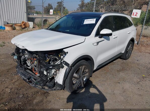KNDRMDLG0P5130594 2023 KIA SORENTO HYBRID White Przód lewy