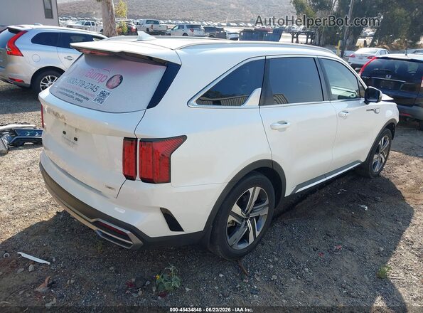 KNDRMDLG0P5130594 2023 KIA SORENTO HYBRID White Tył prawy