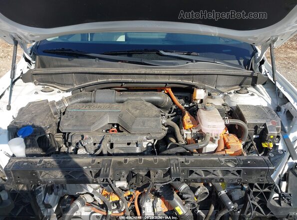 KNDRMDLG0P5130594 2023 KIA SORENTO HYBRID White Widok z tyłu