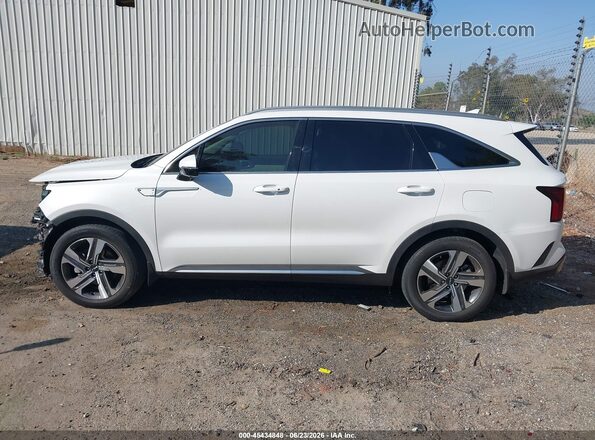 KNDRMDLG0P5130594 2023 KIA SORENTO HYBRID White 
