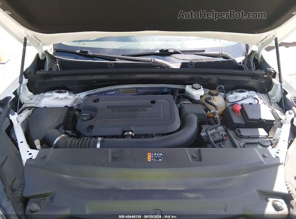 LRBFZME4XRD022854 2024 BUICK ENVISION Белый Вид сзади