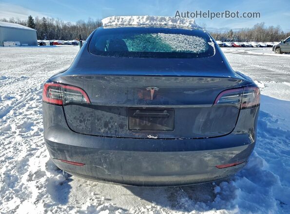 LRW3E1FA2PC891743 2023 TESLA MODEL Серый Вид сзади