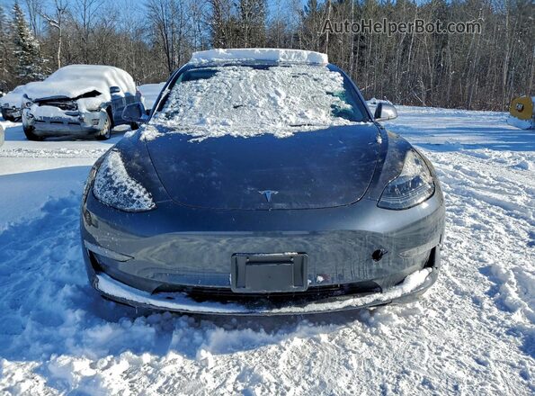 LRW3E1FA2PC891743 2023 TESLA MODEL Серый Вид спереди