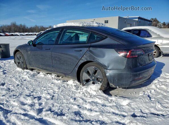 LRW3E1FA2PC891743 2023 TESLA MODEL Серый Задняя левая четверть