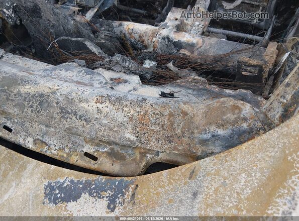 MAJ3S2FE0LC391147 2020 FORD ECOSPORT Серый Вид подкапотного пространства