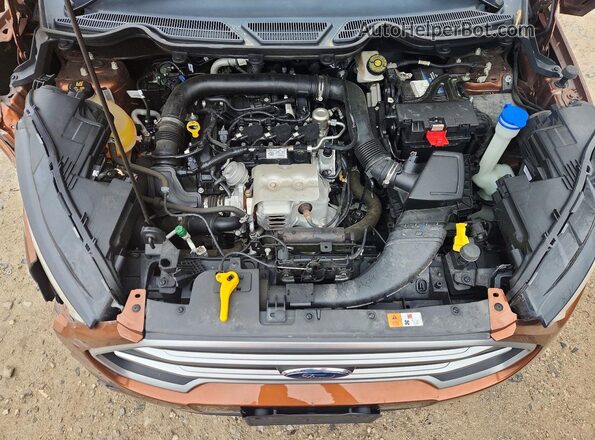 MAJ3S2GE3LC315310 2020 FORD ECOSPORT Brown 