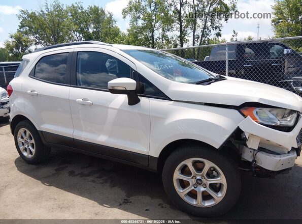 MAJ3S2GE5KC262107 2019 FORD ECOSPORT Белый Вид задней части салона