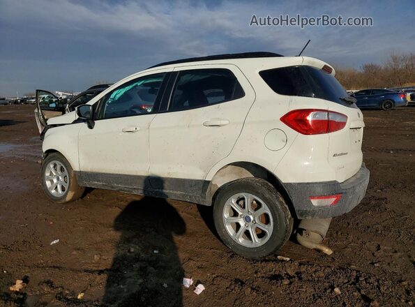 MAJ6S3GL5NC470123 2022 FORD ECOSPORT White Հետևի ձախ