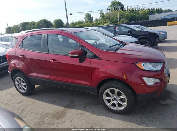 MAJ6S3GL7KC304052 2019 FORD ECOSPORT Red Rear interior view
