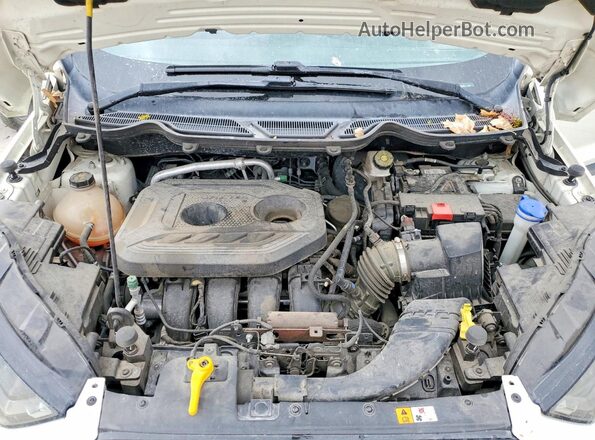 MAJ6S3JL1LC384085 2020 FORD ECOSPORT White Вид задньої частини салону