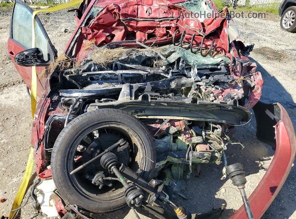 NOVIN50335476 2019 TOYOTA COROLLA Red Սալոնի հետևի տեսք