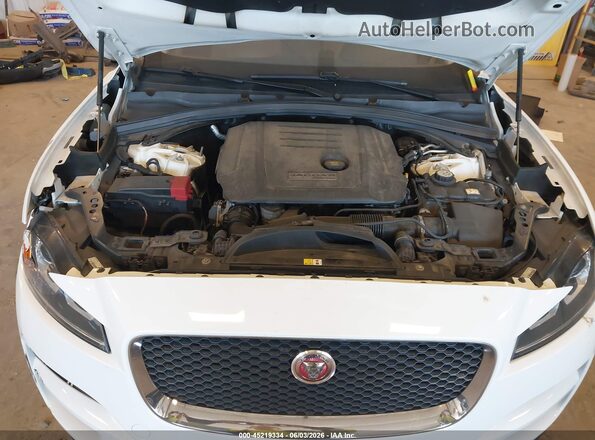 SADCJ2BN1HA491204 2017 JAGUAR F-PACE White Հետևի տեսք