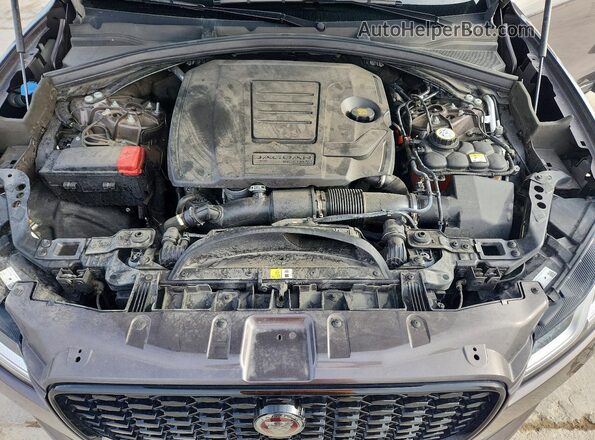 SADCJ2EX4PA705355 2023 JAGUAR F-PACE Gray Սալոնի հետևի տեսք