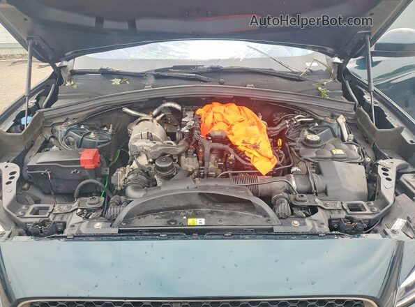 SADCK2BNXHA494275 2017 JAGUAR F-PACE Green Widok komory silnika