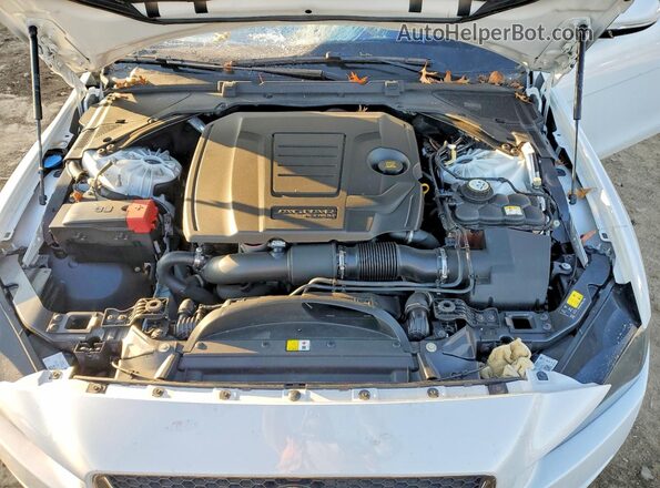 SAJAJ4FX4JCP23140 2018 JAGUAR XF Белый Вид задней части салона