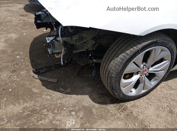 SAJAJ4FX7LCP56541 2020 JAGUAR XF Белый 