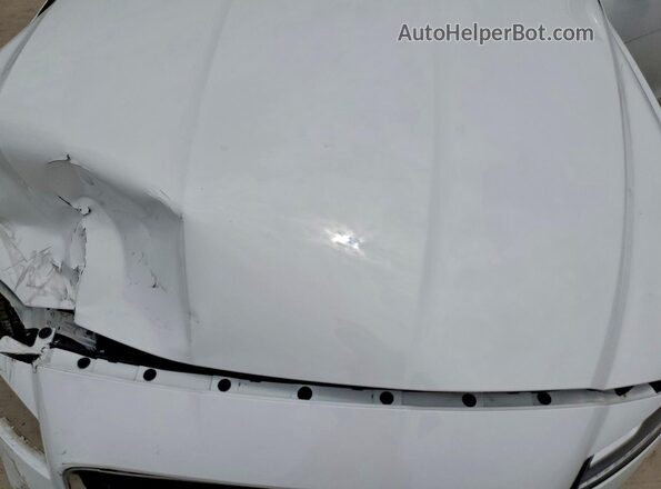 SAJBD4FX7LCY83172 2020 JAGUAR XF Белый Вид задней части салона