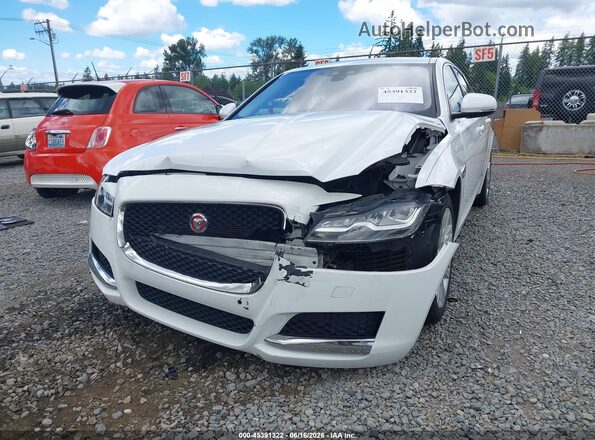SAJBK4BV3GCY22028 2016 JAGUAR XF Белый Вид спереди
