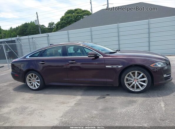 SAJWJ1CD2G8V99136 2016 JAGUAR XJ Бордовый Вид задней части салона