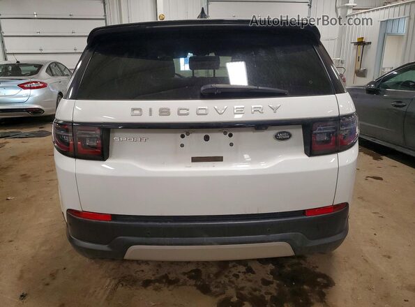 SALCJ2FX8LH834929 2020 LAND ROVER DISCOVERY White Rear view