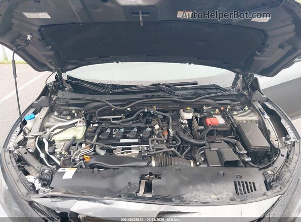 SHHFK7H62LU206253 2020 HONDA CIVIC Gray Rear view