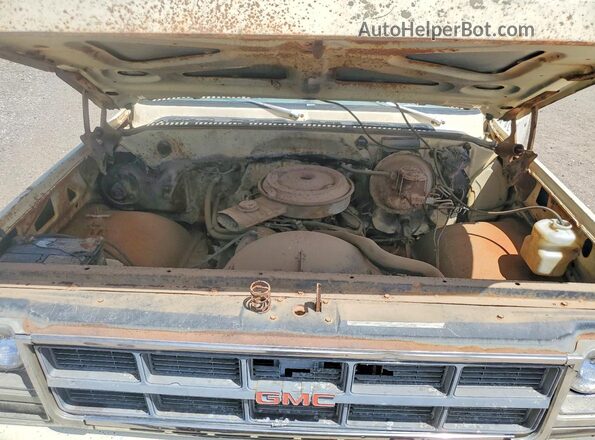 TCL249A519427 1979 CHEVROLET C/K 10 Tan 