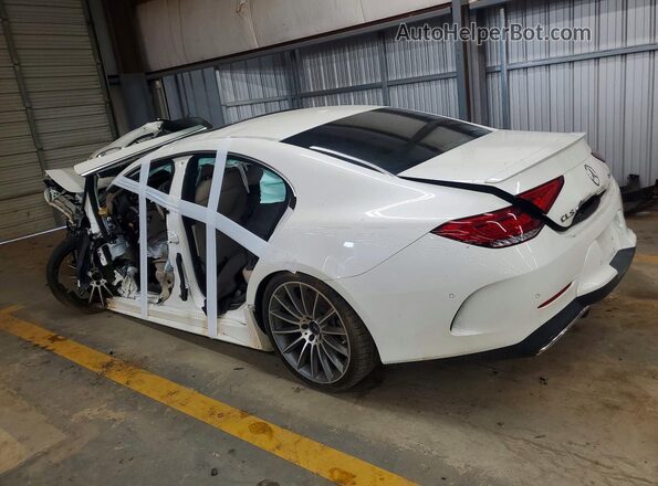 W1K2J5KB9LA072367 2020 MERCEDES-BENZ CLS-CLASS White Trasero izquierdo